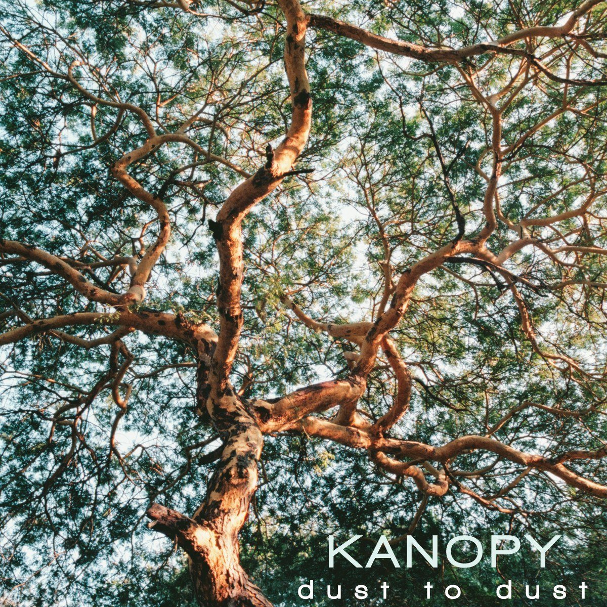 Kanopy - Dust to Dust - Inner Ocean Records