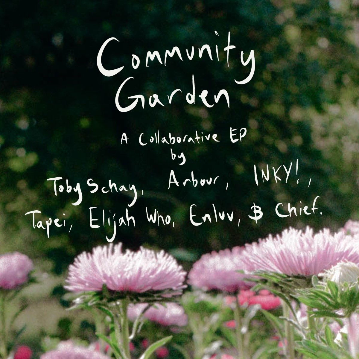 Toby Schay & Friends - Community Garden - Inner Ocean Records