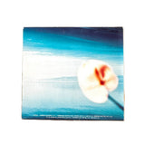 Anri - 16th Summer Breeze CD - Inner Ocean Records