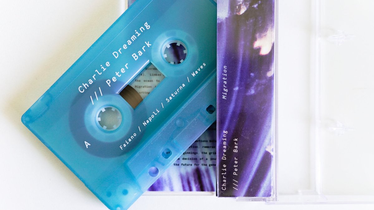 Charlie Dreaming & Peter Bark - Migration - Inner Ocean Records