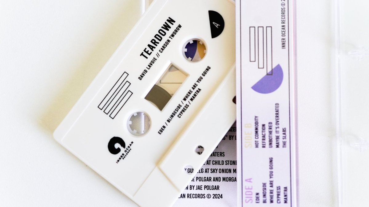 David Lavoie & Carson Tworow - Teardown - Inner Ocean Records