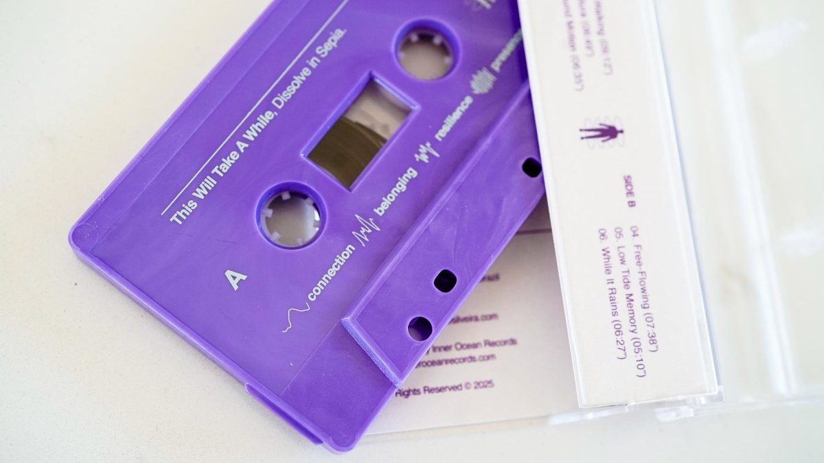 Dissolve In Sepia - This Will Take A While - Inner Ocean Records