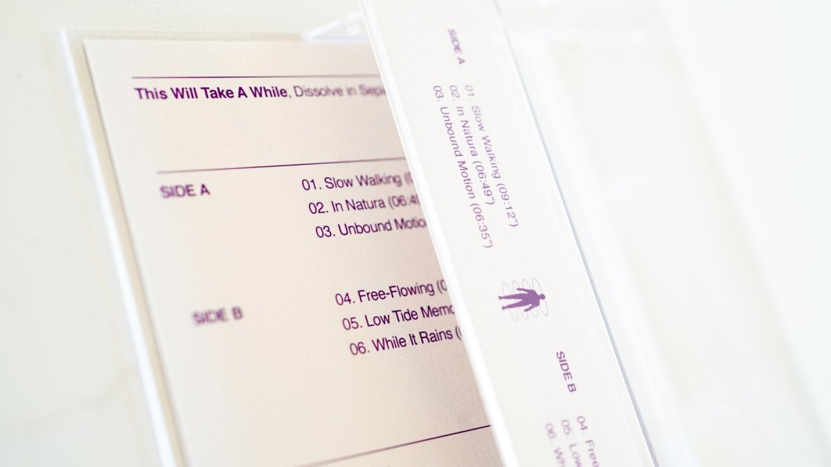 Dissolve In Sepia - This Will Take A While - Inner Ocean Records