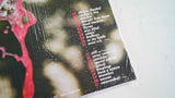 Dominic Pierce - Hoop Loops - Inner Ocean Records
