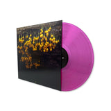 Lav - A New Landscape - Inner Ocean Records