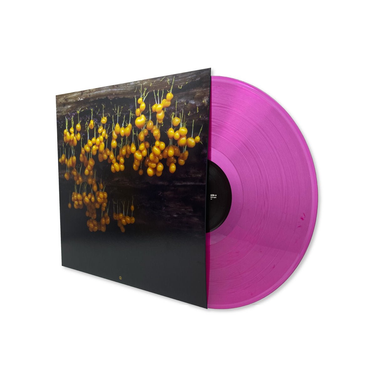 Lav - A New Landscape - Inner Ocean Records