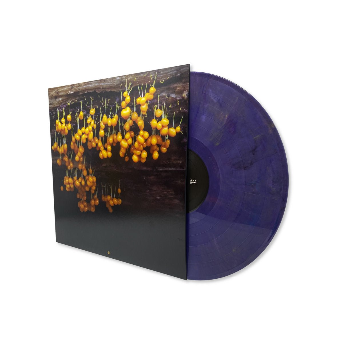 Lav - A New Landscape - Inner Ocean Records