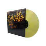 Lav - A New Landscape - Inner Ocean Records