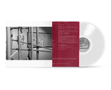 Leilehua Lanzilotti - beyond the accident of time - Inner Ocean Records