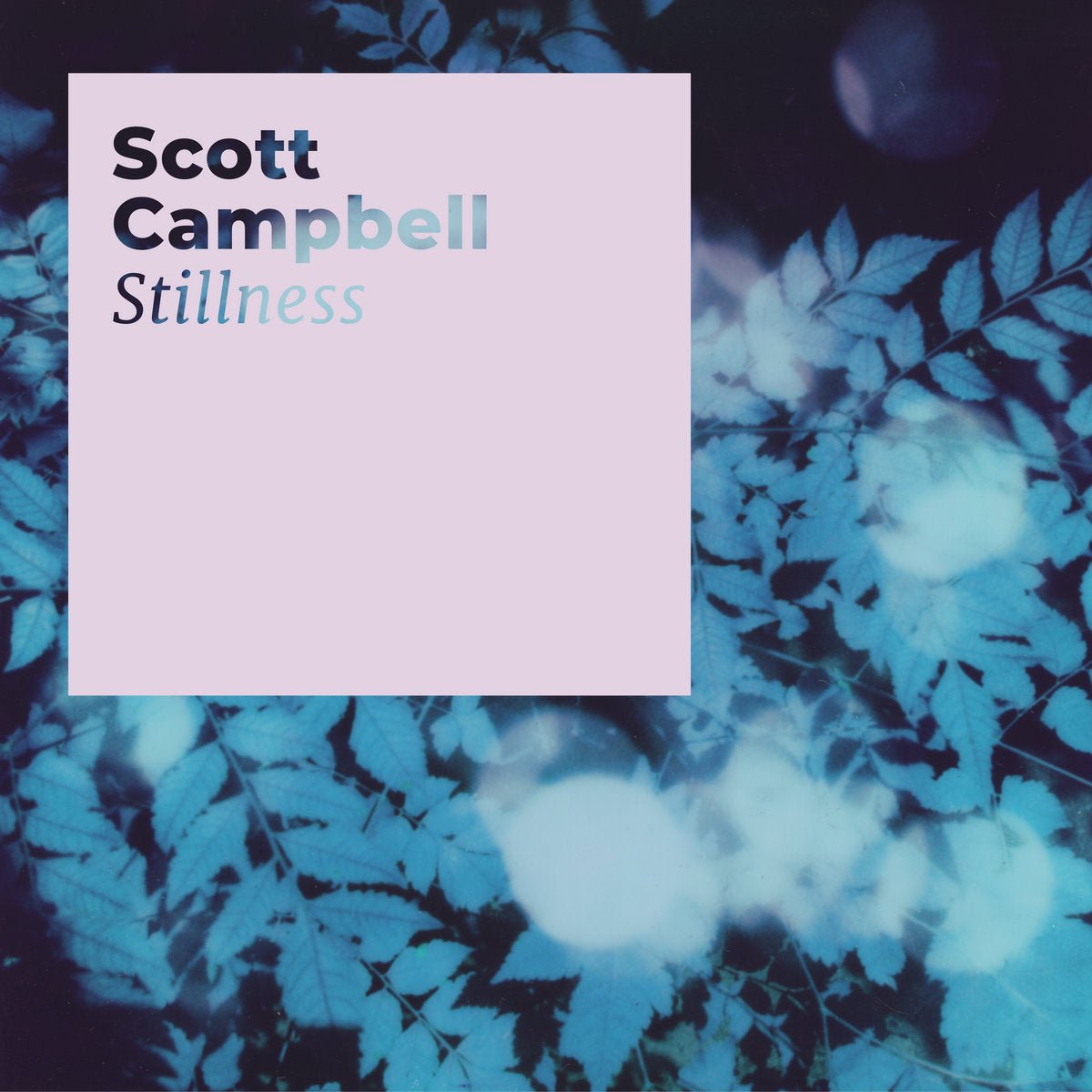 Scott Campbell - Stillness - Inner Ocean Records