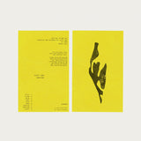 Scott Orr - Horizon - Inner Ocean Records