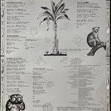 Shambara - Shambara (Japan Import) - Inner Ocean Records