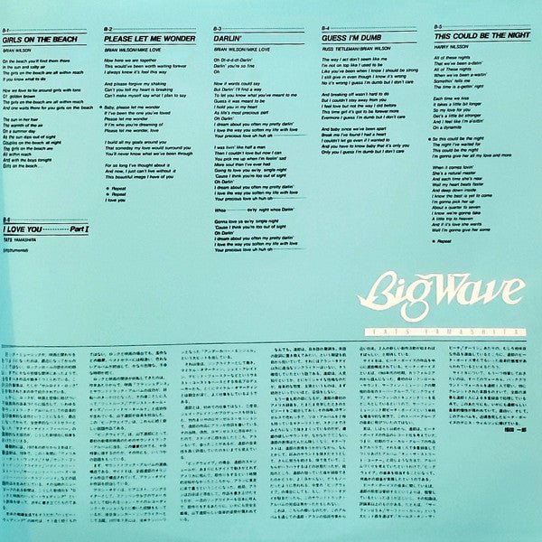 Tatsuro Yamashita - Big Wave (Japan Import) – Inner Ocean Records