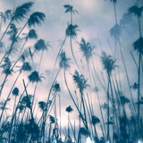 Various Artists - Koselig - Inner Ocean Records