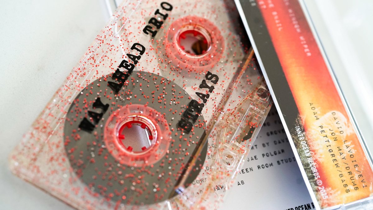 Way Ahead Trio - Strays - Inner Ocean Records