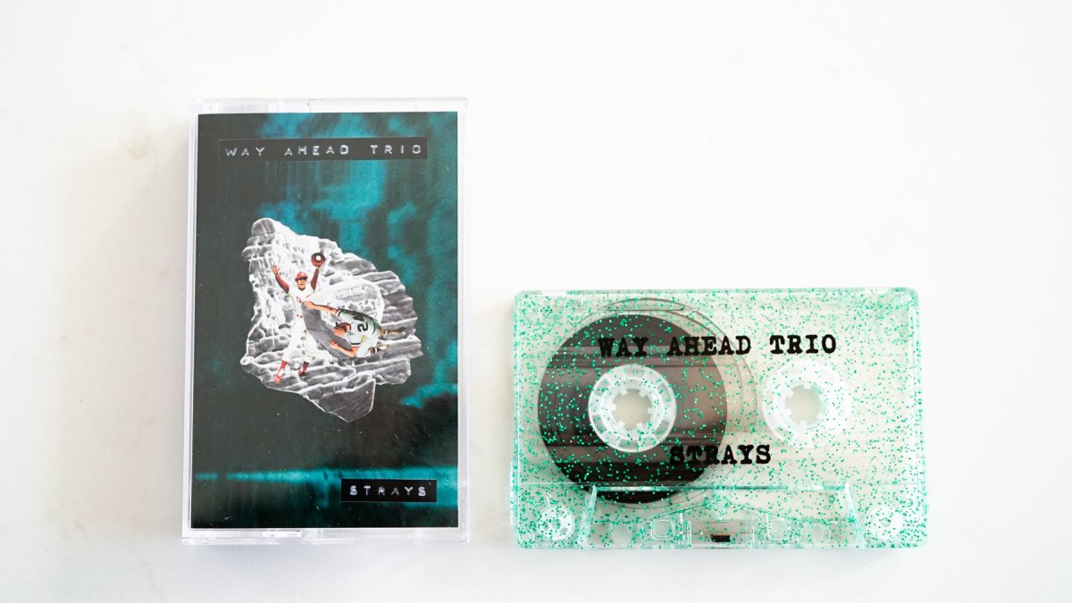 Way Ahead Trio - Strays - Inner Ocean Records